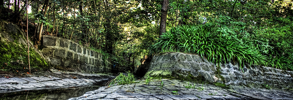 手机号接收平台